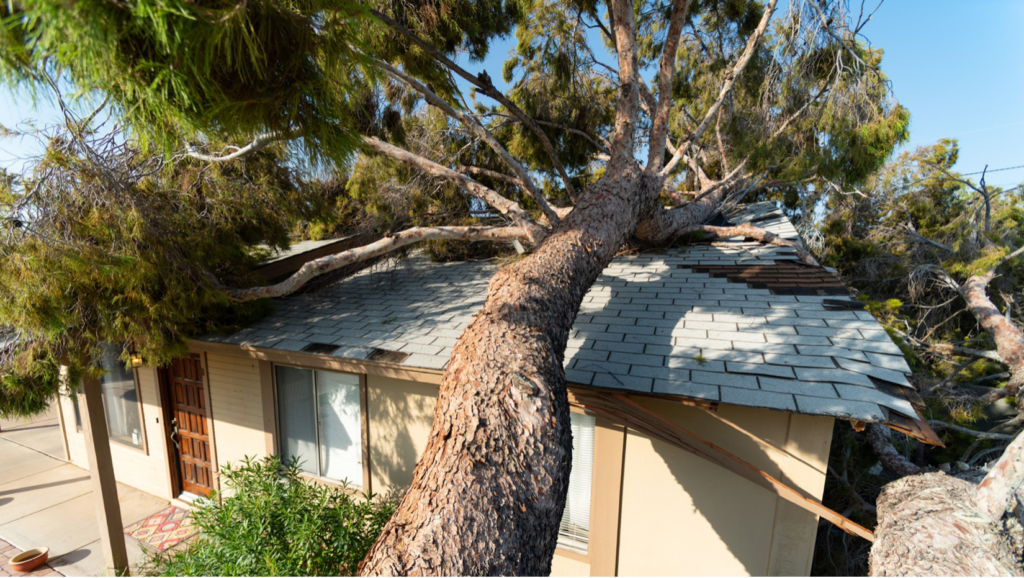 Roof Repair in Mustang