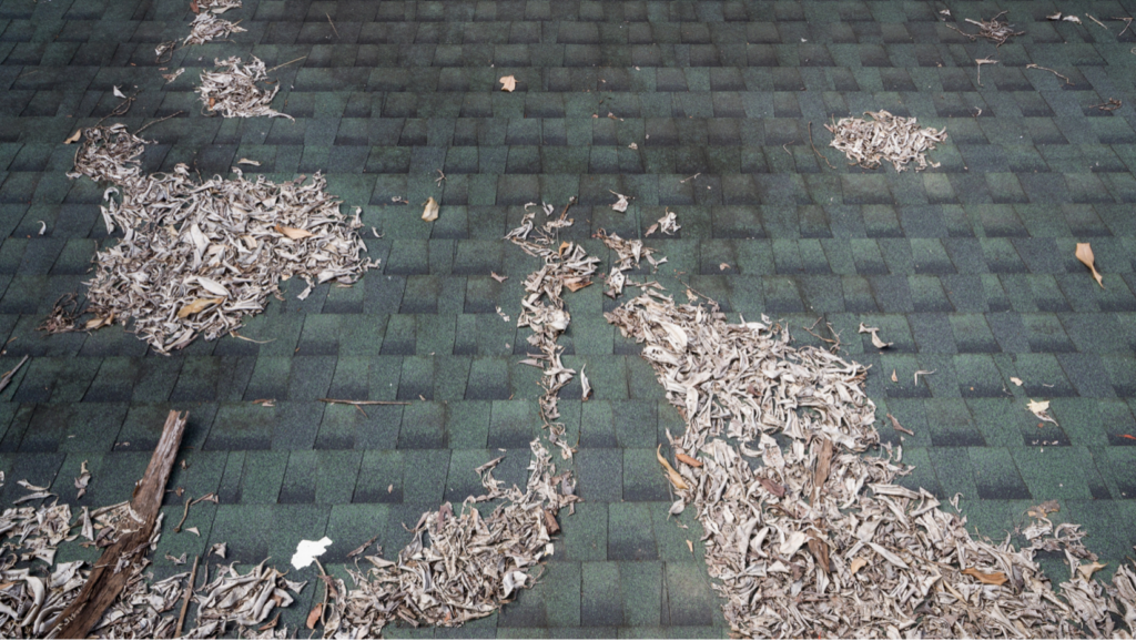 Roof Repair in Mustang